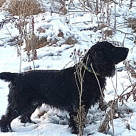 РМС Зной-Том