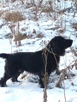 РМС Зной-Том